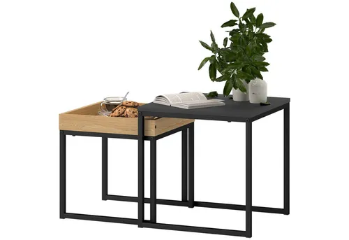 furnicato Stilvolles Couchtisch-Set Schwarz - Modernes Design 45x45 cm - Das stilvolle Couchtisch-Set bringt moderne Eleganz in dein Zuhause. Mit einem großen und einem kleinen Tisch ideal für vielseitige Nutzung. Robust und pflegeleicht – perfekt für jeden Wohnraum.