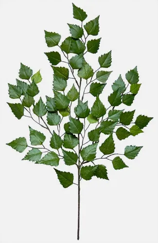 Kunstzweig Birkenzweig 70cm mit 60 Blättern DA künstlicher Zweig künstliche Birke, Seidenblumen Roß, Höhe 70 cm