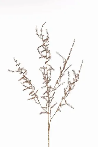 artplants.de Künstlicher Zweig Asparagus acutifolius PARNASO, Gold, 100cm - Deko Kunstzweig