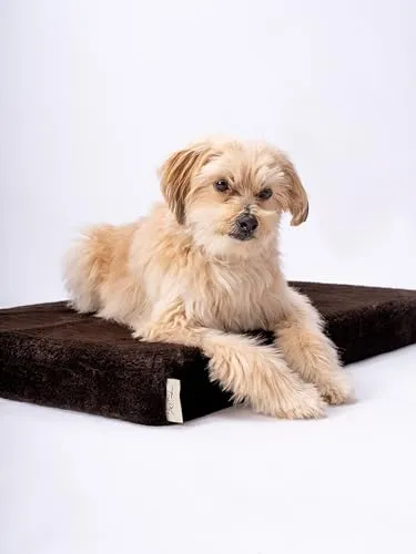 TrendPet VitaMedog