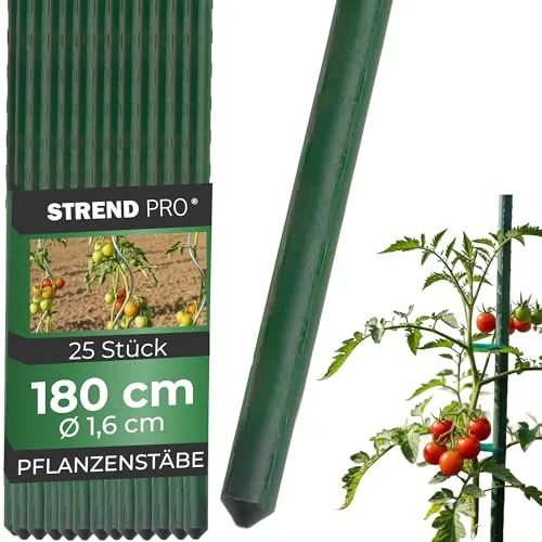 STREND PRO Pflanzstäbe 180 cm von STREND PRO