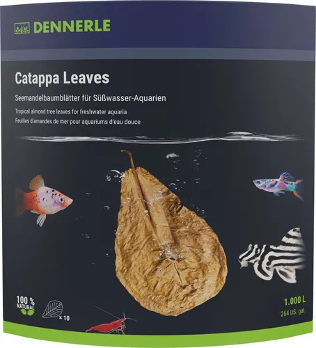 Dennerle Catappa Leaves - Seemandelbaumblätter, natüliche Wasserpflege und Nahrungsergänzung fürs Aquarium