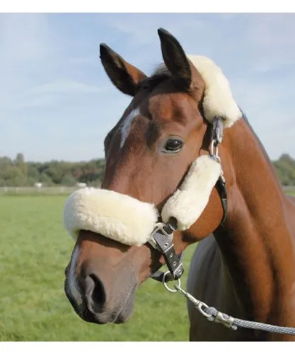 WALDHAUSEN Lammfell Nasen- oder Genickpolster, schwarz