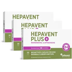 Hepavent PLUS Cholin Kapseln | 180 Stück - Pflanzliches Ergänzungsmittel mit hoch bioverfügbarem Cholin und einem einzigartigen 3-Fach-Komplex aus Mariendistel, Artischocke und Löwenzahn für die normale Leberfunktion.