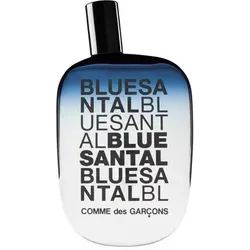 Comme des Garçons Blue Santal Eau de Parfum Spray 100 ml