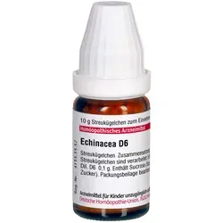 Echinacea Hab D6 Globuli von DHU
