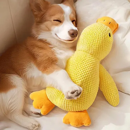 LEGO DUPLO Town Erster Arztbesuch 10449 von LEGO