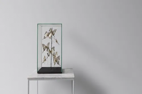 EUR 2,87/qm / Tapete Rasch Textil 288970 Petite Fleur 4 Punkte Klein Weiß Grau