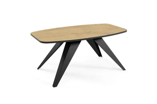 Feldmann-Wohnen Couchtisch Oval, Braun, Holz, 120x48x60 cm - Eleganter Oval-Couchtisch für Ihr Wohnzimmer. Mit robustem Metallgestell und melaminbeschichteter Tischplatte in verschiedenen Farben kombinierbar. Ideal für gesellige Abende!