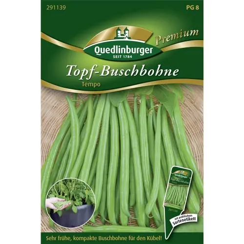 Topf-Buschbohne, Tempo NEU