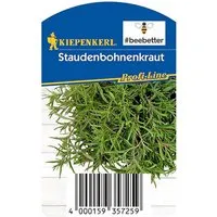 Kiepenkerl Staudenbohnenkraut Bee Better Topf-Ø ca. 12 cm