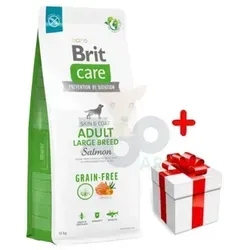 BRIT CARE Dog Grain-free Adult Large Breed Salmon 12kg - Getreidefreies Hundefutter mit Lachs und Kartoffeln, perfekt für ausgewachsene große Hunderassen über 25 kg. Hochwertige Zutaten für gesunde Ernährung.