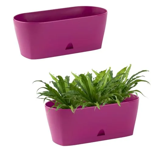 Engelland - 2 x Blumenkasten mit Untersetzer, Lila, Balkonkasten, Pflanztopf, 25 cm, Tischdeko, für Garten, Terrasse, Fensterbank, mit Wasserauffangschale, Innen- & Außenbereich, 1,7 Liter