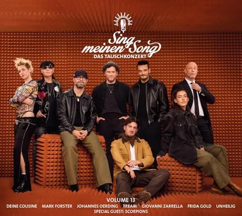 Sing meinen Song von Music for Millions - 13 (Tonpool)