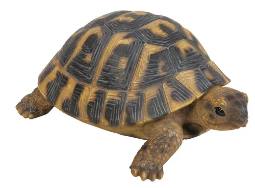 Produktbild Rofu Dekofigur Schildkröte aus Kunststein