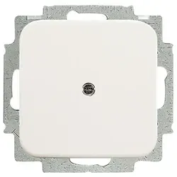 1St. Busch-Jaeger 2538-214 Blindzentralscheibe, mit Tragring Reflex SI alpinweiß