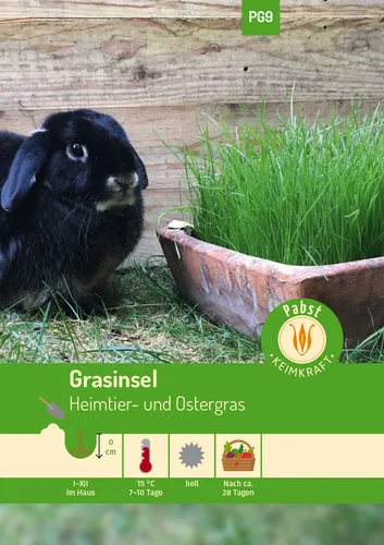 Grasinsel Heimtier- und Ostergras 171120 Gräsermischung
