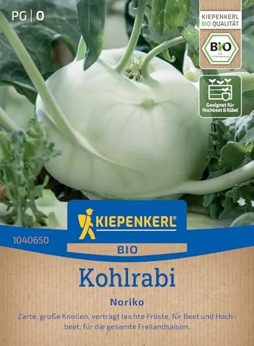 Bio Kohlrabi * Noriko * MHD 01/29 BIO-Saatgut Kiepenkerl Samen 1040650