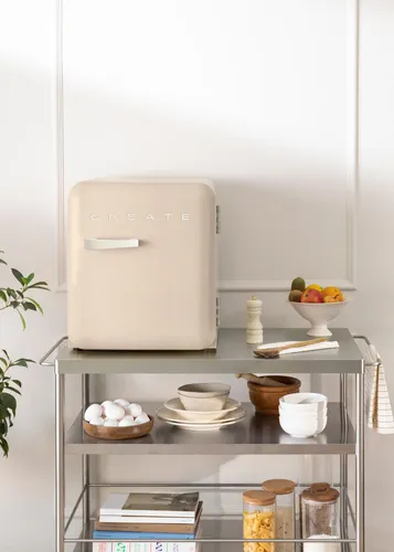 FRIDGE RETRO 48L