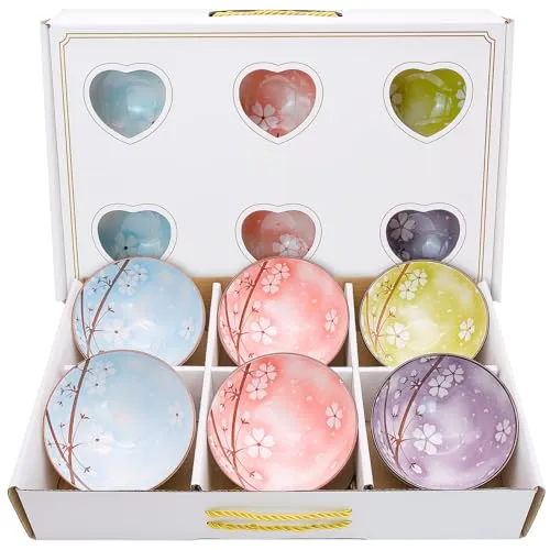 YHSKJCD Müslischalen 6er Set, 300 ml Müsli Schüssel, Spülmaschinen- und Mikrowellenfest - Kleine - Bunt Schale Schüssel aus Porzellan für Müsli, Ramen, Suppe, Salat, Nudeln, Porridge