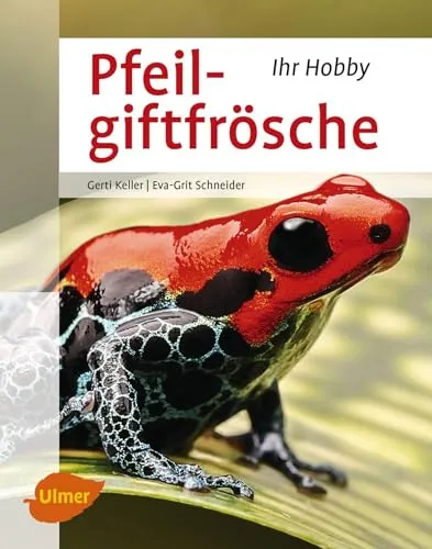 Pfeilgiftfrösche (Ihr Hobby)