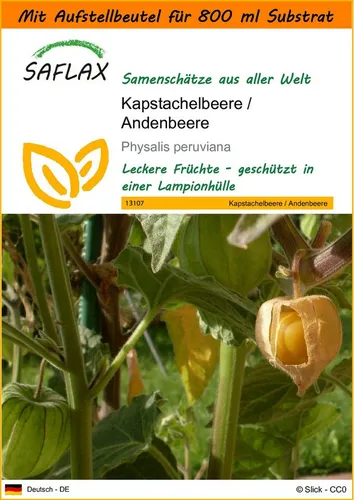 SAFLAX Blumensamen SAFLAX - Garden in the bag - Kapstachelbeere / Andenbeere