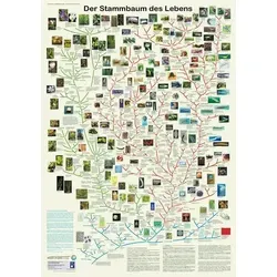 Der Stammbaum des Lebens von Ubsvaky