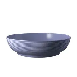 Seltmann Foodbowl 25cm von Seltmann Weiden