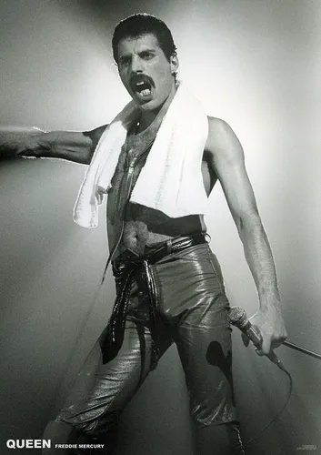 Poster QUEEN - Freddie Mercury Live on Stage ca60x85cm NEU 15395