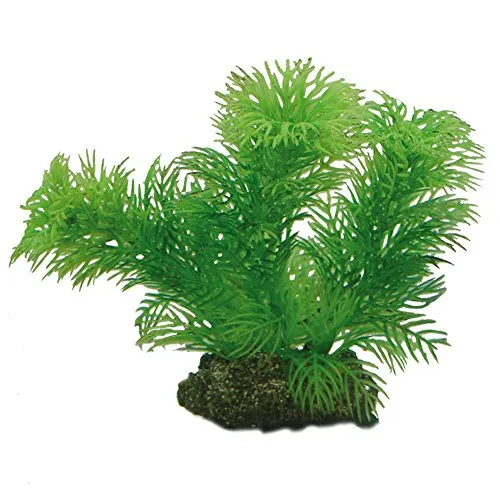 Hobby Egeria, 13 cm