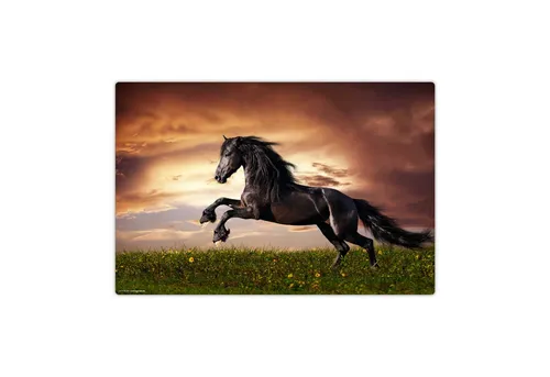 Schreibtischunterlagen Schwarz von cover your desk