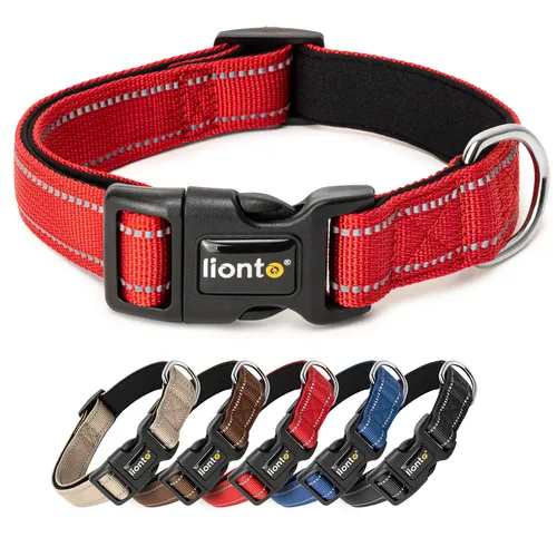 lionto Halsband gepolstert Nylon Neopren reflektierend, Größe XS, rot