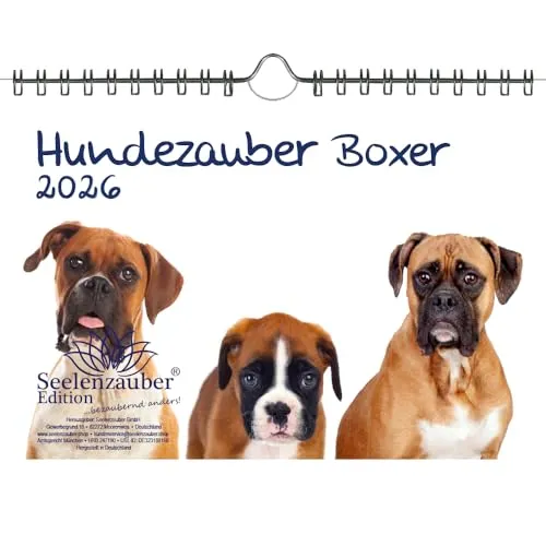 Hundezauber Boxer DIN A5 Kalender für 2026 Welpen und Hunde - Seelenzauber