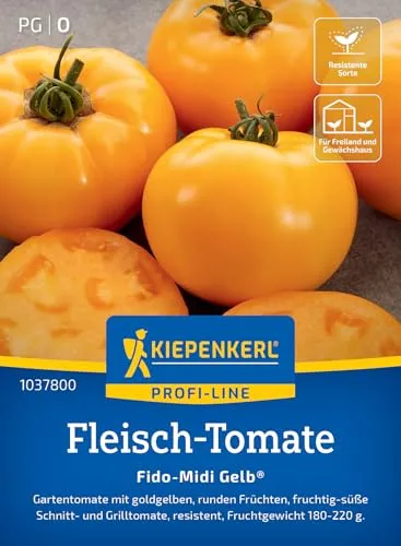 Kiepenkerl Profi-Line Fleisch-Tomatensamen Fido-Midi Gelb 1037800 - Resistente Sorte - Fruchtgewicht 180-220 g - Gemüsesamen, Samen Gemüse, Saatgut