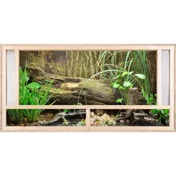 Terrarien von Repiterra