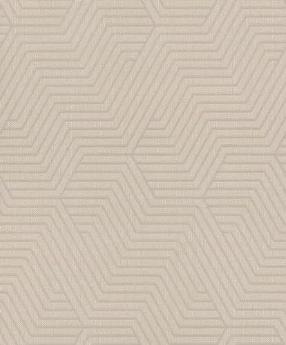 Rasch Tapete 312522 - Helle Vliestapete in Grau mit geometrischem Muster aus feinen Linien aus der Kollektion Deco Style