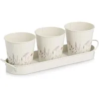 Zeller Kräutertopf-Set 