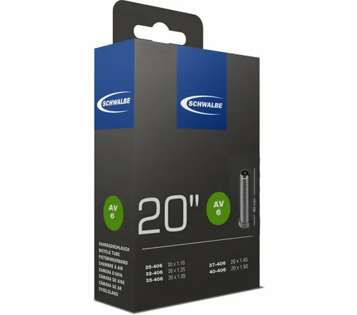 Schwalbe 20