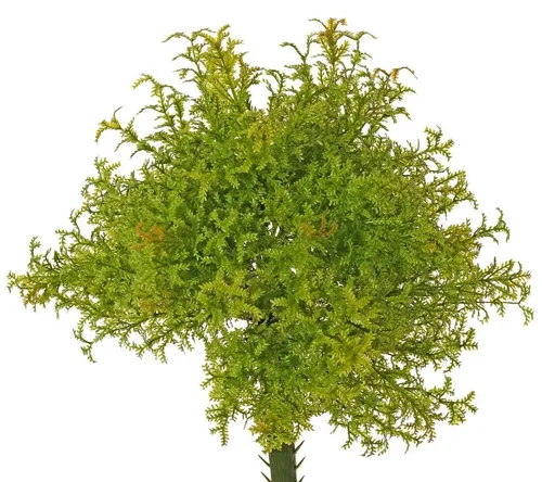 artplants Deko Moosfarn Padma auf Steckstab, grün-braun, 23cm