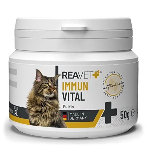 ReaVET Immun Vital für Katzen 50g - für mehr Wohlbefinden & Vitalität I Natürliche Abwehrkraft, Stärkung des Immunsystem, Ohne künstliche Zusätze, Reich an Mineralien