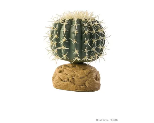 Exo Terra Terrariendeko Terrarien-Pflanze Zylinder Kaktus