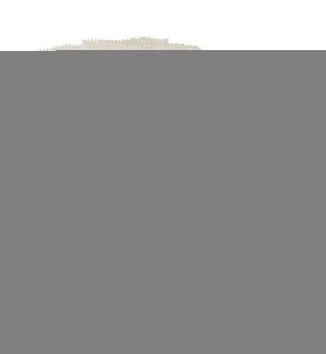 Papiertüten Sterne Set, Weiss, Gross