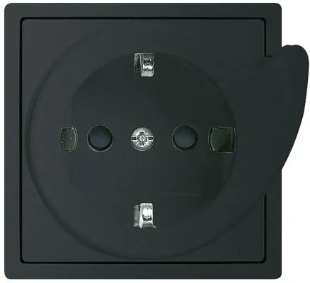 Busch-Jaeger Steckdosen Schwarz von Busch-Jaeger