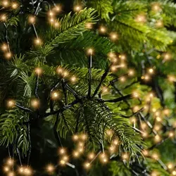 Kaemingk LED-Lichterkette Cluster - Weihnachtsbeleuchtung, stimmungsvolle Büschellichterkette für Innen- und Außenbereich mit extrem langlebigen LEDs und minimalem Stromverbrauch.