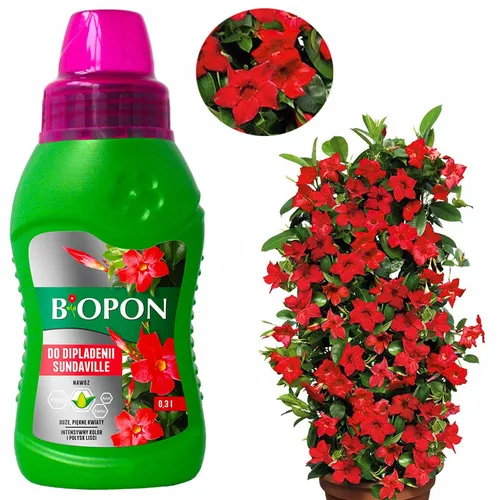 Dünger Für Dipladenia Sundaville Mandevilla Flüssigdünger Spezialdünger 300ml