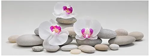 levandeo Glasbild 80x30cm Wandbild aus Glas weiße Orchideen Blume Steine Bambus Feng Shui