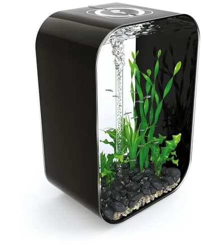 biOrb® Aquarium LIFE 60 MCR, Schwarz in schwarz von biOrb