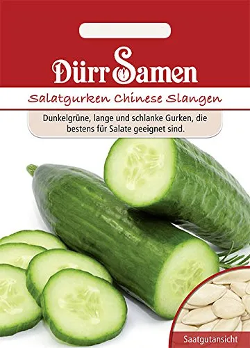 Salatgurke Samen Chinese Slangen Salatgurkensamen Schlangengurke Salat Grüne Gurke ca 60 Korn Saatgut Garten Hochbeet Balkon Kübel Dürr Samen