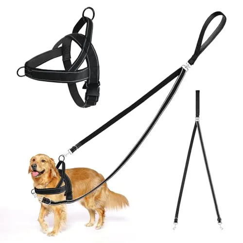 Hundegeschirr mit Leine, Anti-Zug Hundeleine und Geschirr, Keine Verwicklung Doppelleine, Verstellbares Reflektierend Brustgeschirr, zum Spaziergänge und Training für mittel große Hunde (M)