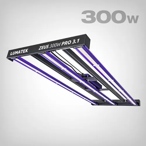 Deckenleuchten Lila von Lumatek